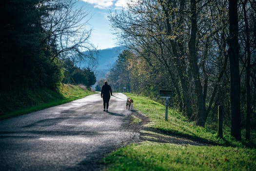 pinpointing a dementia wanderer on the map